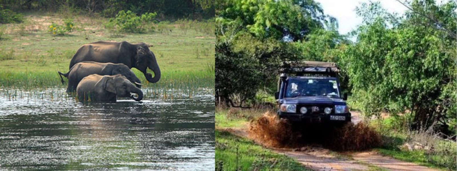 Yala National Park Blocks To Close Temporarily